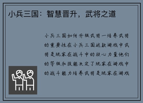 小兵三国：智慧晋升，武将之道